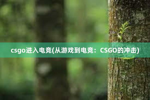 csgo进入电竞(从游戏到电竞：CSGO的冲击)