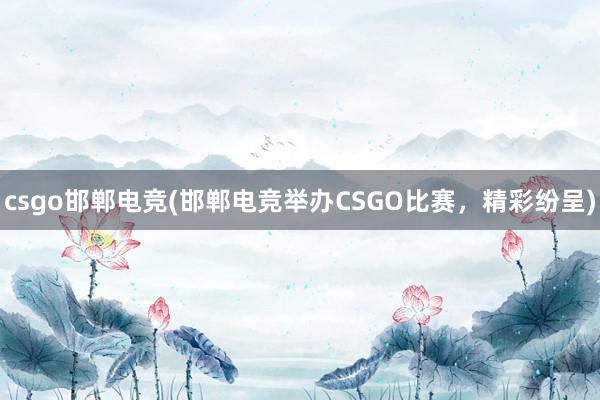 csgo邯郸电竞(邯郸电竞举办CSGO比赛，精彩纷呈)