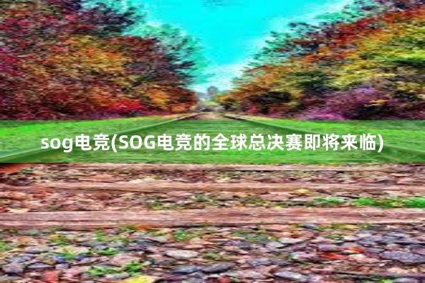 sog电竞(SOG电竞的全球总决赛即将来临)