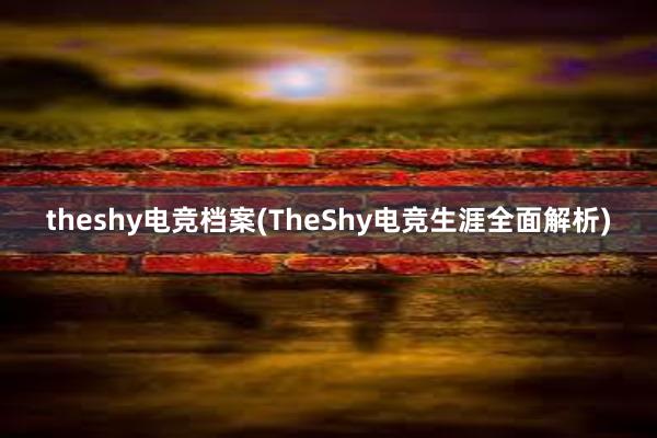 theshy电竞档案(TheShy电竞生涯全面解析)