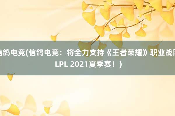 信鸽电竞(信鸽电竞：将全力支持《王者荣耀》职业战队 LPL 2021夏季赛！)