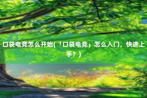 口袋电竞怎么开始(「口袋电竞」怎么入门，快速上手？)