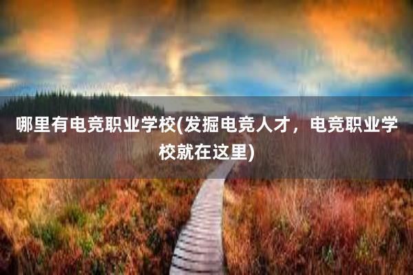 哪里有电竞职业学校(发掘电竞人才，电竞职业学校就在这里)