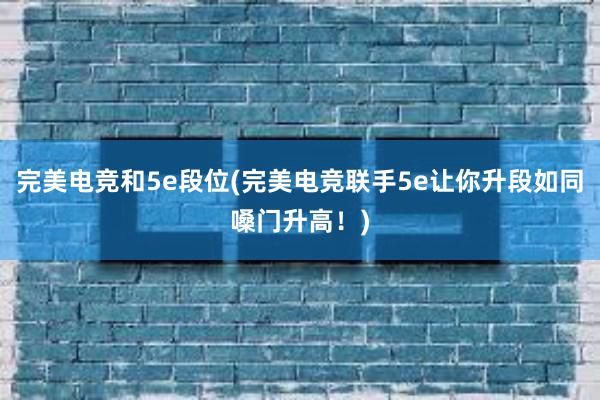 完美电竞和5e段位(完美电竞联手5e让你升段如同嗓门升高！)