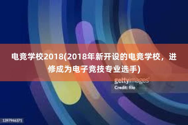 电竞学校2018(2018年新开设的电竞学校，进修成为电子竞技专业选手)