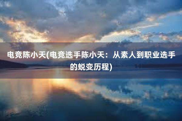 电竞陈小天(电竞选手陈小天：从素人到职业选手的蜕变历程)