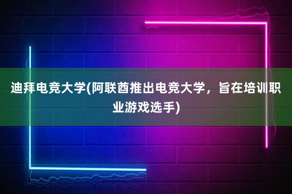 迪拜电竞大学(阿联酋推出电竞大学，旨在培训职业游戏选手)