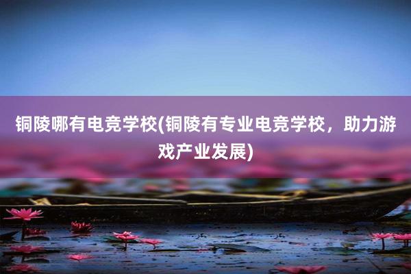 铜陵哪有电竞学校(铜陵有专业电竞学校，助力游戏产业发展)