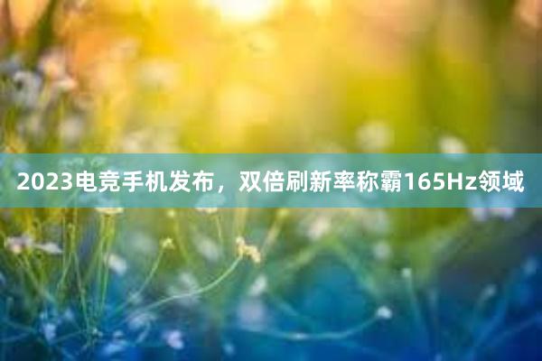 2023电竞手机发布，双倍刷新率称霸165Hz领域