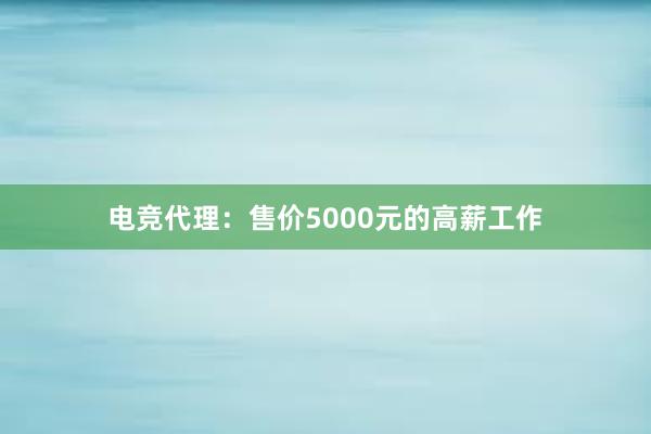 电竞代理：售价5000元的高薪工作