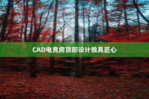 CAD电竞房顶部设计独具匠心