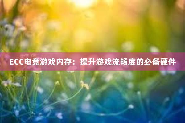 ECC电竞游戏内存：提升游戏流畅度的必备硬件