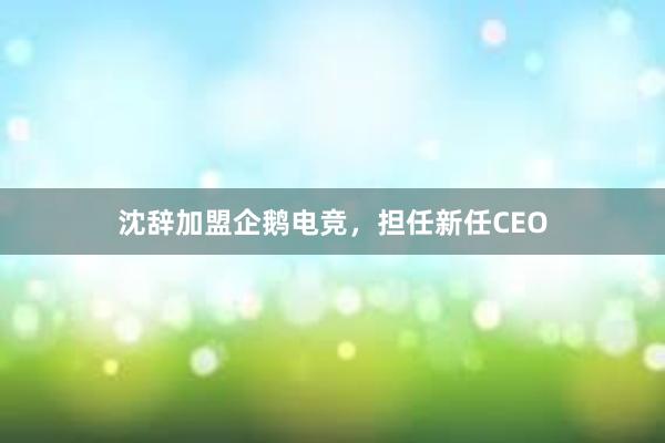 沈辞加盟企鹅电竞，担任新任CEO