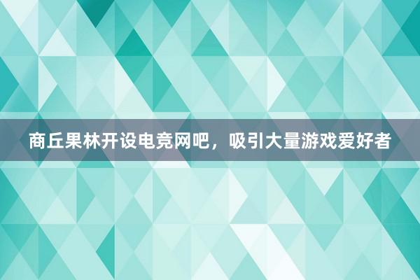 商丘果林开设电竞网吧，吸引大量游戏爱好者