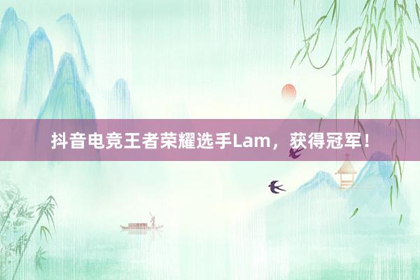 抖音电竞王者荣耀选手Lam，获得冠军！