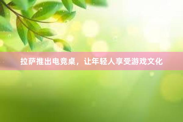 拉萨推出电竞桌，让年轻人享受游戏文化