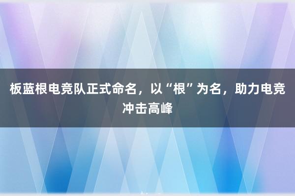 板蓝根电竞队正式命名，以“根”为名，助力电竞冲击高峰