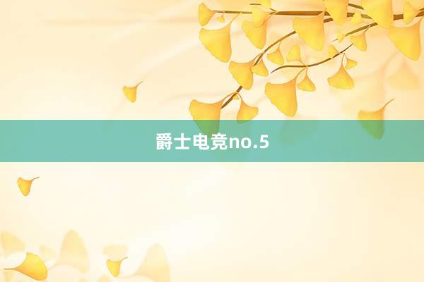 爵士电竞no.5