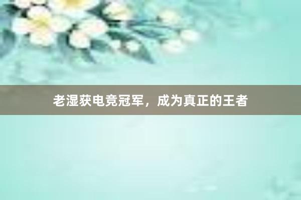 老湿获电竞冠军，成为真正的王者