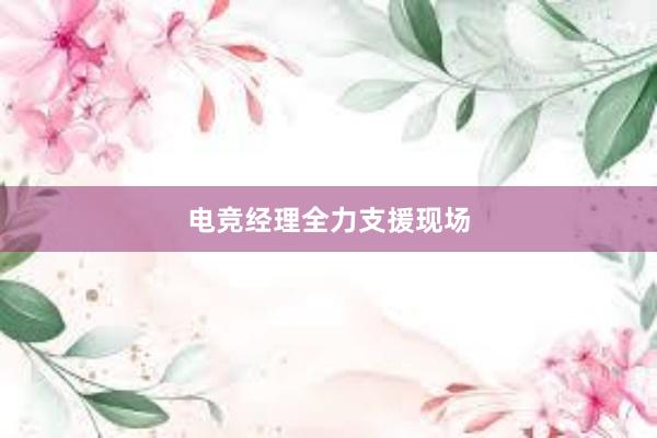 电竞经理全力支援现场