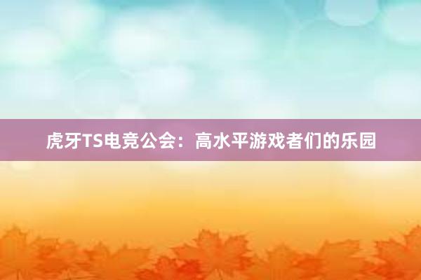 虎牙TS电竞公会：高水平游戏者们的乐园