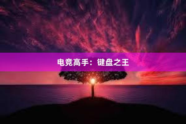 电竞高手：键盘之王