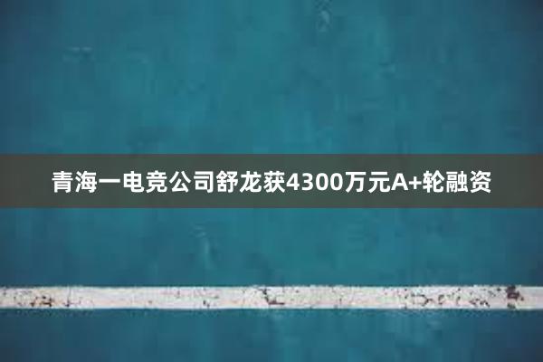 青海一电竞公司舒龙获4300万元A+轮融资